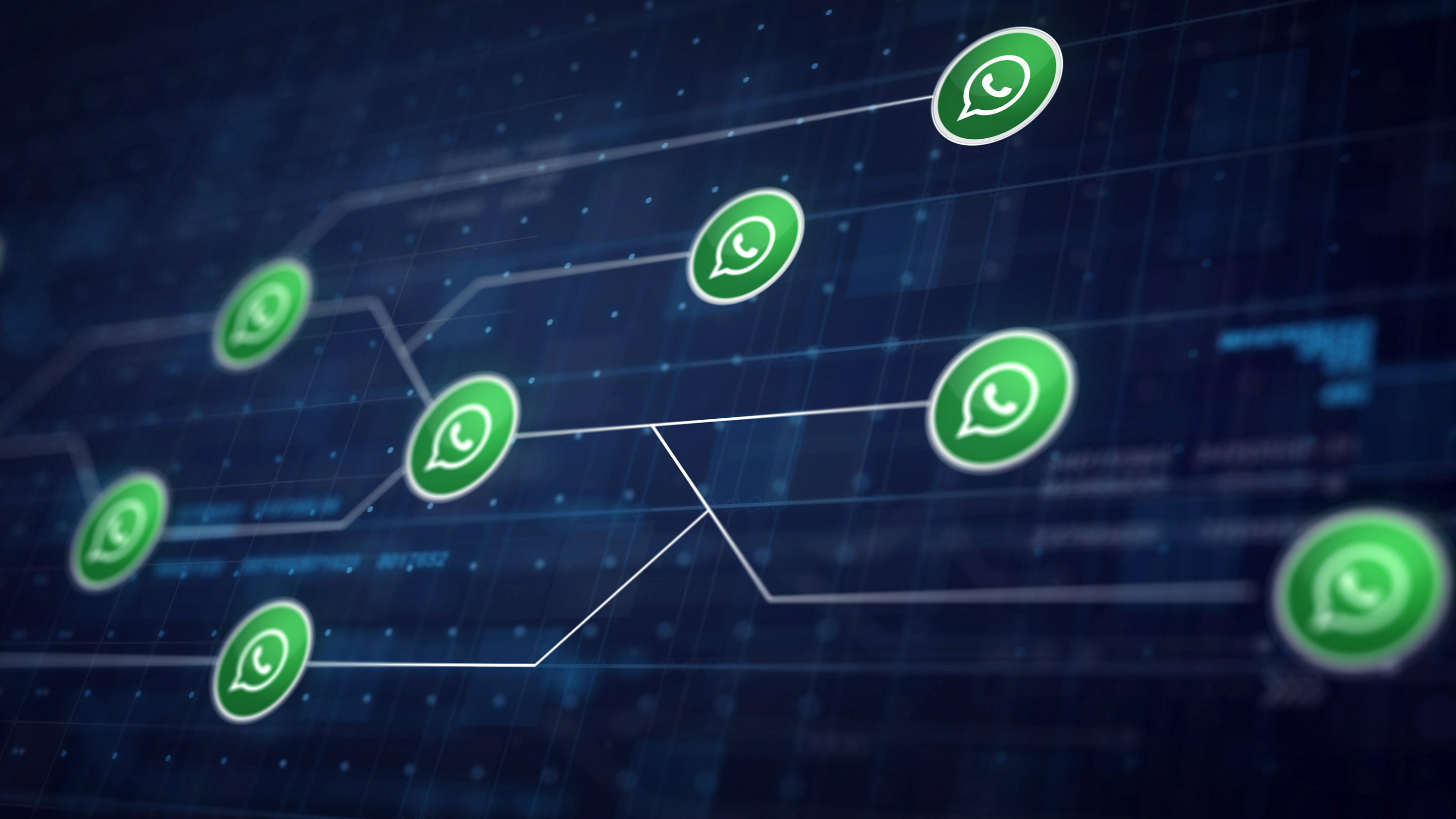 Cómo capturar y calificar leads por WhatsApp: guía práctica